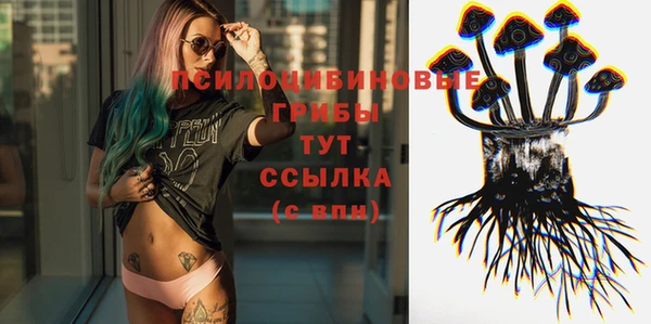 спайс Алексин