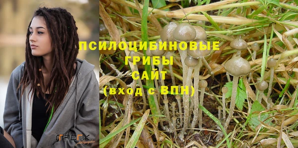 спайс Алексин