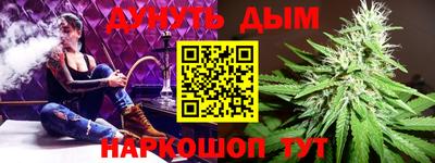 МДПВ Новозыбков