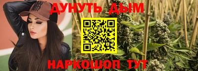 МДПВ Новозыбков