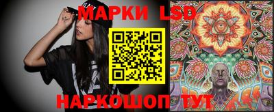 МДПВ Новозыбков