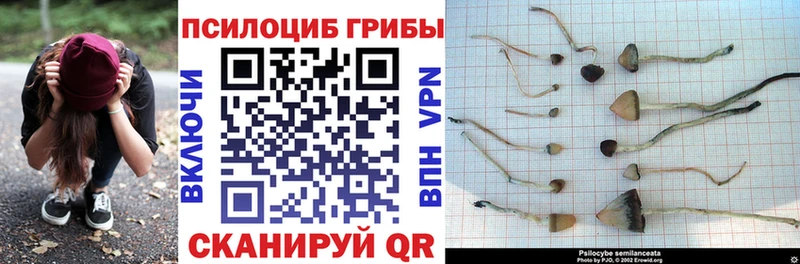 Псилоцибиновые грибы ЛСД  Шатура 