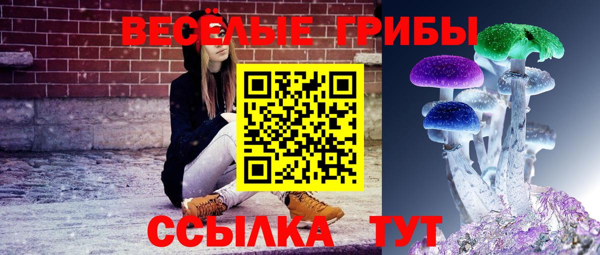 Псилоцибиновые грибы мухоморы  Псилоцибиновые грибы Magic Shrooms  Шатура  Вход с VPN 