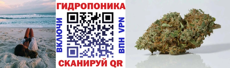 закладка  Шатура  Бошки марихуана Ganja 